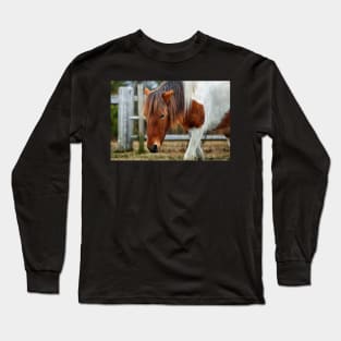 Assateague Pony Susi Sole on Fence Patrol Long Sleeve T-Shirt